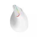 Delux Bezprzewodowa mysz pionowa Delux M618C 2.4G 1600DPI RGB (biała)