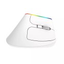 Delux Bezprzewodowa mysz pionowa Delux M618C 2.4G 1600DPI RGB (biała)