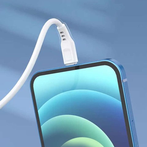 Denmen Ładowarka sieciowa USB + kabel USB - Lightning do iPhone 1m szybka 2.4A 12W Denmen Biała Denmen Ładowarka sieciowa USB + kabel USB - Lightning do iPhone 1m szybka 2.4A 12W Denmen Biała