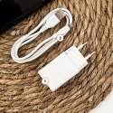 Denmen Ładowarka sieciowa USB + kabel USB - Lightning do iPhone 1m szybka 2.4A 12W Denmen Biała
