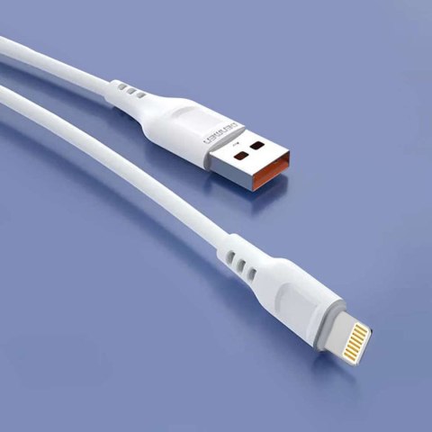 Denmen Ładowarka sieciowa USB + kabel USB - Lightning do iPhone 1m szybka 2.4A 12W Denmen Biała Denmen Ładowarka sieciowa USB + kabel USB - Lightning do iPhone 1m szybka 2.4A 12W Denmen Biała