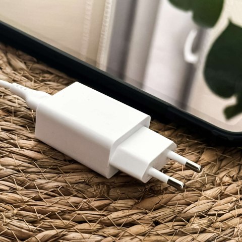 Denmen Ładowarka sieciowa USB + kabel USB - Lightning do iPhone 1m szybka 2.4A 12W Denmen Biała Denmen Ładowarka sieciowa USB + kabel USB - Lightning do iPhone 1m szybka 2.4A 12W Denmen Biała
