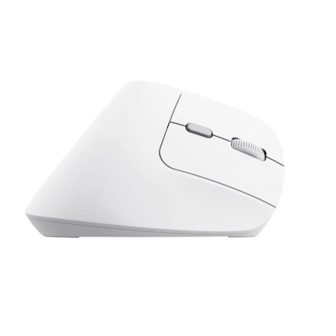 Trust Bayo II - Mysz ergonomiczna bezprzewodowa (Biały) Trust Bayo II - Mysz ergonomiczna bezprzewodowa (Biały)