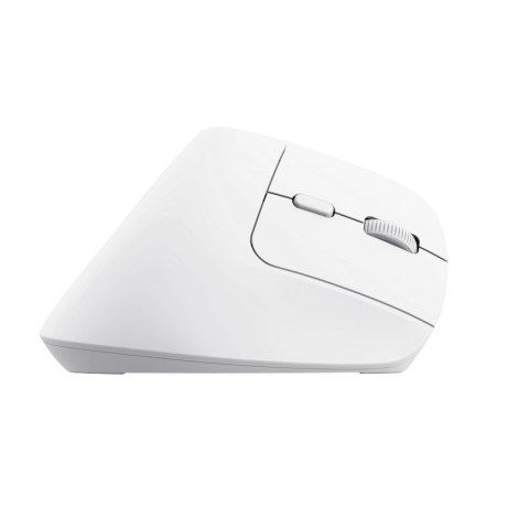 Trust Bayo+ - Mysz ergonomiczna bezprzewodowa (Biały) Trust Bayo+ - Mysz ergonomiczna bezprzewodowa (Biały)