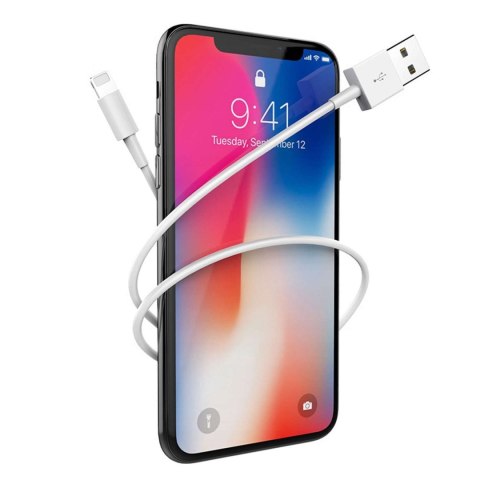 Apple Oryginalny kabel Apple MD818ZM/A Lightning do USB 1 metr Cable biały Apple Oryginalny kabel Apple MD818ZM/A Lightning do USB 1 metr Cable biały