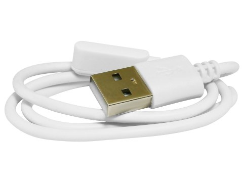 Giewont Kabel ładujący do Smartwatcha GIEWONT GW510 GWK2 Giewont Kabel ładujący do Smartwatcha GIEWONT GW510 GWK2