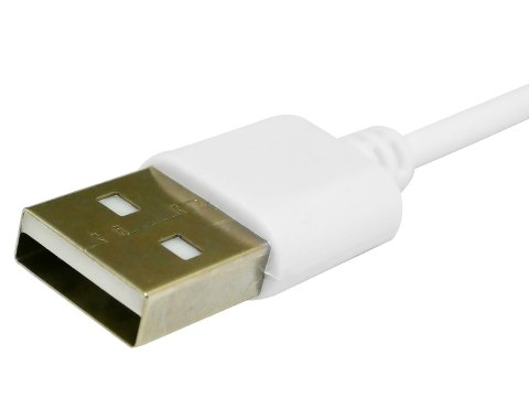 Giewont Kabel ładujący do Smartwatcha GIEWONT GW510 GWK2 Giewont Kabel ładujący do Smartwatcha GIEWONT GW510 GWK2