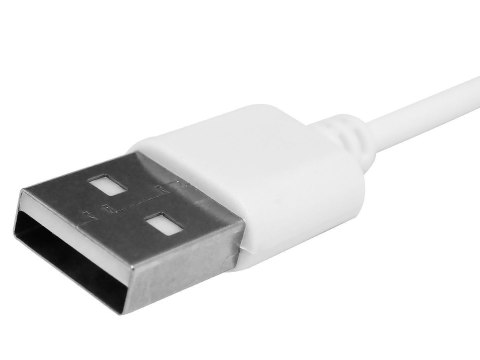 Giewont Kabel ładujący do Smartwatcha GIEWONT GW440 GWK3 Giewont Kabel ładujący do Smartwatcha GIEWONT GW440 GWK3