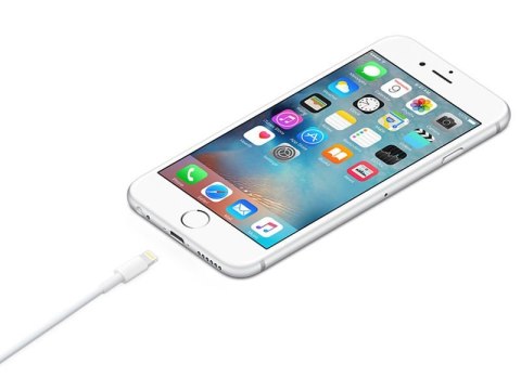 Apple Oryginalny kabel Apple Lightning 1m MD818ZM/A iPhone biały BOX Apple Oryginalny kabel Apple Lightning 1m MD818ZM/A iPhone biały BOX