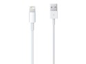 Apple Oryginalny kabel Apple Lightning 1m MD818ZM/A iPhone biały BOX