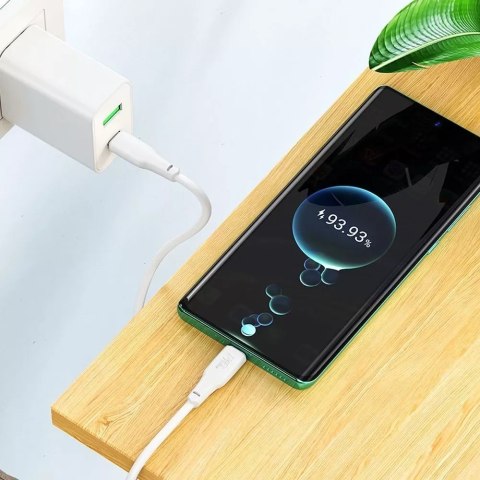 Hoco HOCO Kabel Typ C do Typ C X93 2 m Biały PD 100W 5A Szybkie Ładowanie Hoco HOCO Kabel Typ C do Typ C X93 2 m Biały PD 100W 5A Szybkie Ładowanie