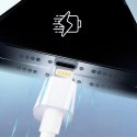 Apple Kabel Apple USB-C do Lightning 1M