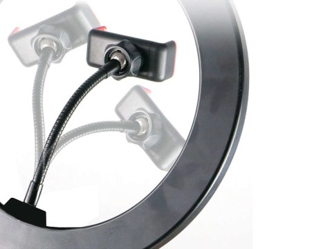 Alogy Lampa pierścieniowa ze statywem Alogy do zdjęć makijażu Alogy Lampa pierścieniowa ze statywem Alogy do zdjęć makijażu