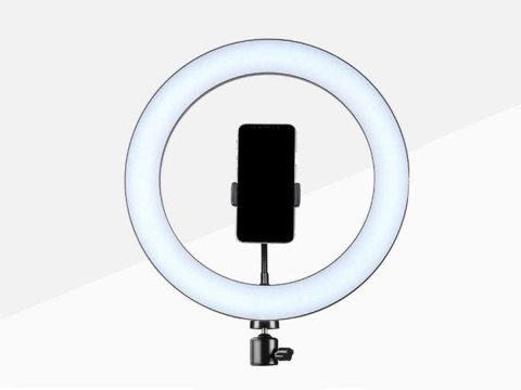 Alogy Lampa pierścieniowa ze statywem Alogy do zdjęć makijażu Alogy Lampa pierścieniowa ze statywem Alogy do zdjęć makijażu