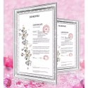 Kingxbar Kingxbar Angel lustrzane etui ozdobione oryginalnymi Kryształami Swarovskiego iPhone 11 Pro Max lusterko przezroczysty