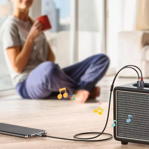 UGreen Kabel UGREEN przewód audio dźwiękowy USB Typ C (męski) - 2RCA (męski) 1,5m szary (20193 CM451) UGreen Kabel UGREEN przewód audio dźwiękowy USB Typ C (męski) - 2RCA (męski) 1,5m szary (20193 CM451)
