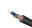 UGreen Kabel UGREEN przewód rozdzielacz słuchawkowy 3,5 mm mini jack AUX 20cm (2 x wyjście audio) srebrny (10532)