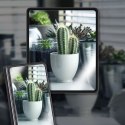 WhiteStone Folia ochronna Whitestone All-in-one 2-Set do Samsung Galaxy Z Fold 5 Clear